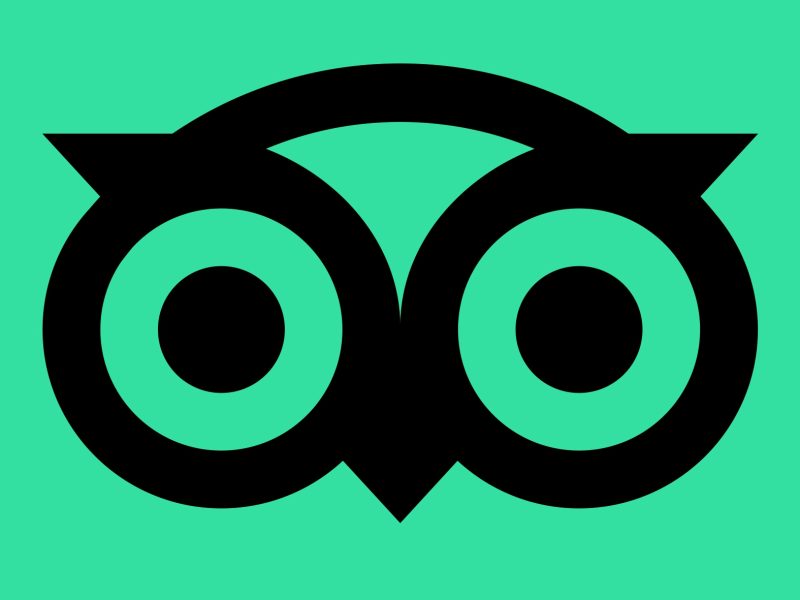 tripadvisor-logo-icon-black-green-owl-square